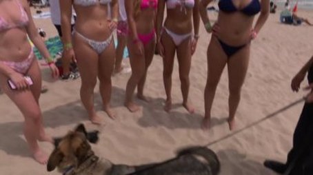 Spring Break: Bombed at the Beach (2025) - Episode 3 poster and promotional image