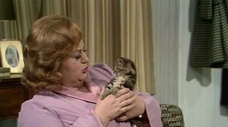 Cat (1972) - Episode 13 poster and promotional image