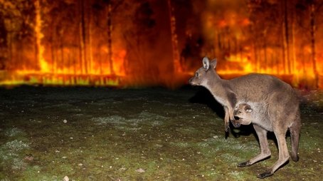 Australian Bushfire Rescue (2020) - Episode 2 poster and promotional image