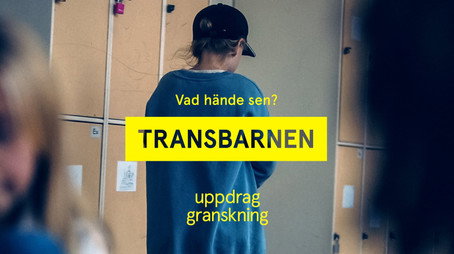 Uppdrag granskning sommar Сезон 2022