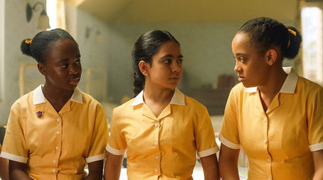 The Unexpected Visitor (2024) - Episode 9 poster and promotional image