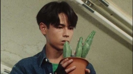 A Prickly Maiden Hunt (1993) - Episode 34 poster and promotional image