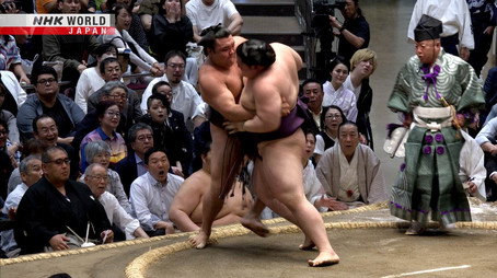 GRAND SUMO Highlights Сезон 35