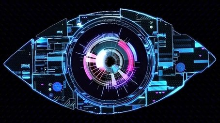 Big Brother's Bit on the Side (2011) poster