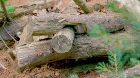 Paranormal Lockdown Évad 2