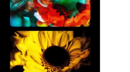 Flowers (II) (2025) movie poster - Click for spoilers and plot summary