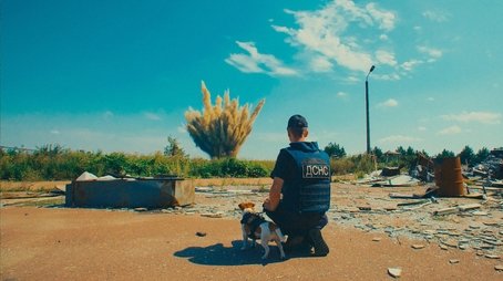Saving the Animals of Ukraine (2024) - Episode 16 poster and promotional image