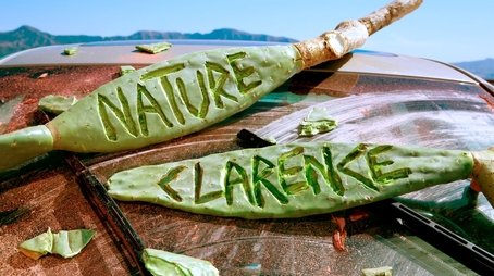 Nature Clarence