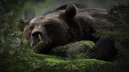 Race of life Évad 1