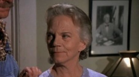 Mary Ellen und der fahrende Sänger