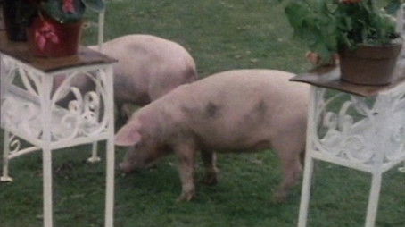 Pig's Lib (1975) - Episode 4 poster and promotional image