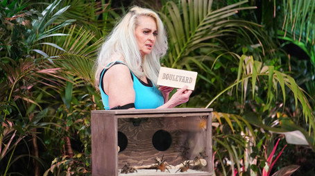 Ich bin ein Star - Die große Dschungelshow Sezóna 1