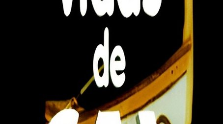 Vidas de Sal (1996) poster