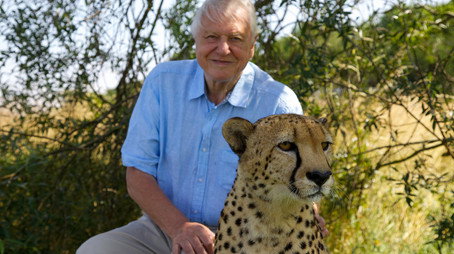 David Attenborough's Natural Curiosities Сезон 3
