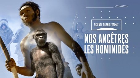 Our hominid ancestors (2020) - Episode 26 poster and promotional image