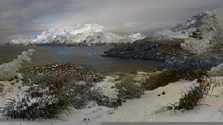 South Georgia: an Island All Alone (1998) - Episode 1 poster and promotional image