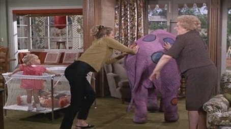 Tante Clara und der Elefant