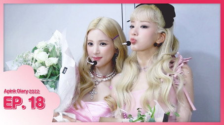 에이핑크 다이어리 Сезон 9