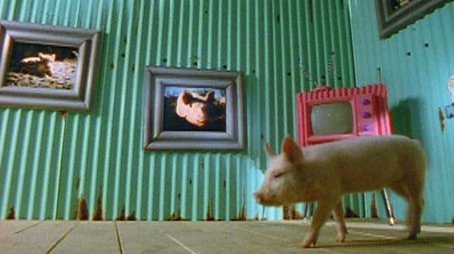 The Joy of Pigs (1996) - Episode 4 poster and promotional image