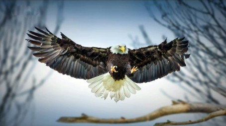 Race of life Évad 1