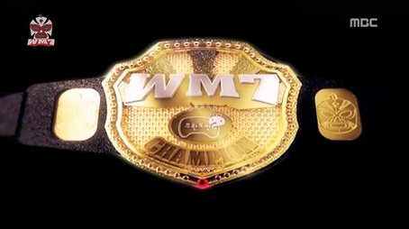 WM7 Wrestling Special: Part 10 (2010) - Episode 214 poster and promotional image