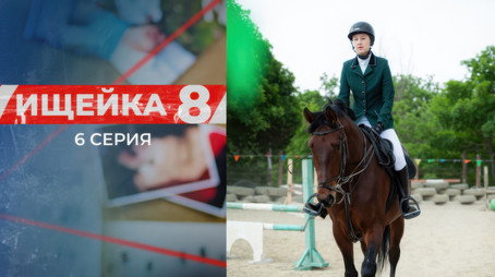 Ищейка Сезон 8