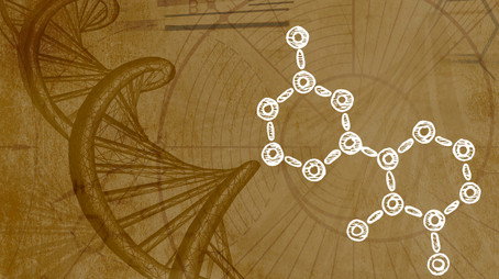 Inner Evolution Évad 1