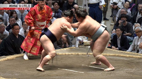 GRAND SUMO Highlights Сезон 35