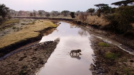 Purgatory | Katavi: Africa's Fallen Paradise (2025) - Episode 11 poster and promotional image