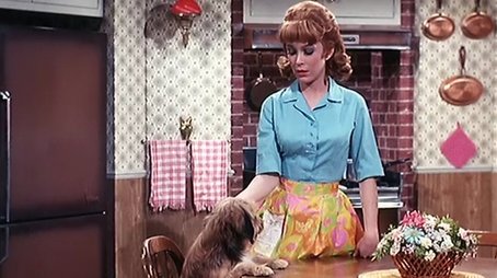I'm Allergic to Daddy (1969) - Episode 21 poster and promotional image