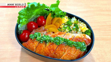 BENTO EXPO 시즌 8