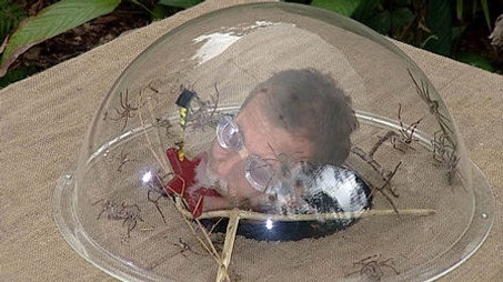 I'm a Celebrity...Get Me Out of Here! Сезон 7