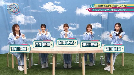 日向坂46です。ちょっといいですか? Сезон 2