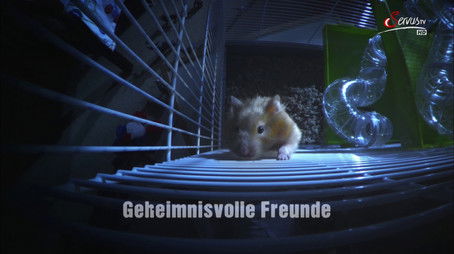 Episode 181 (2015) - Episode 181 poster and promotional image