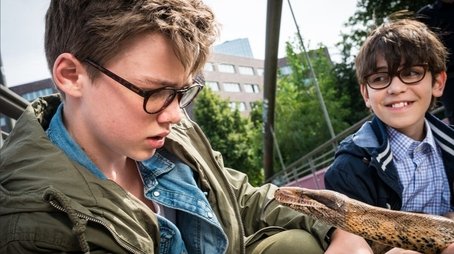 Die falsche Schlange (2017) - Episode 9 poster and promotional image