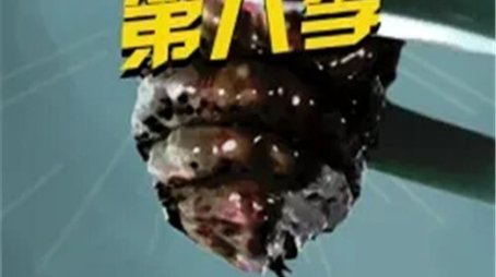 Season 8 (2017) - Season 8 poster and promotional image