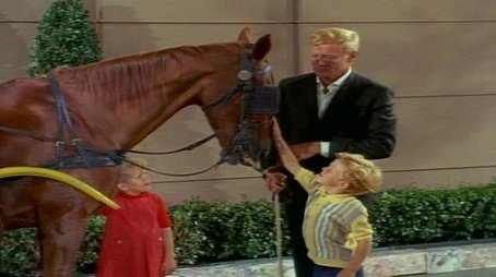 The Gift Horse (1966) - Episode 3 poster and promotional image