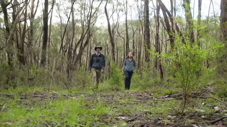 Episode 21 Fish, Prostanthera, Pittwater, Mt Lofty & Hellebore (2022) - Episode 21 poster and promotional image