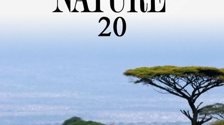 Season 20 (2001) - Season 20 poster and promotional image