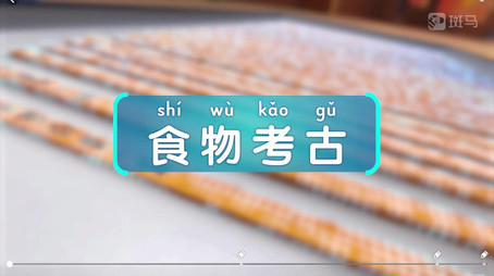 斑马百科 Сезон 21