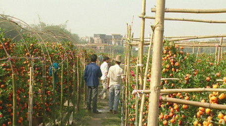 Episode 150 (2023) - Episode 150 poster and promotional image