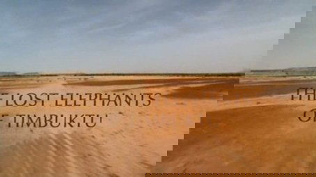 The Lost Elephants of Timbuktu (2001) - Episode 1 poster and promotional image