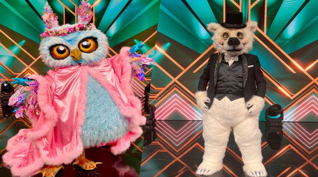 The Masked Singer Сезон 5
