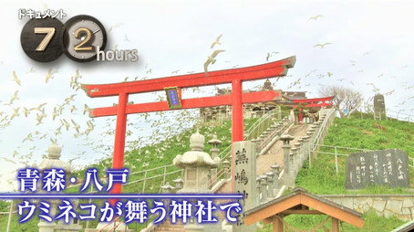 ドキュメント72時間 Сезон 14