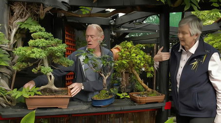 Episode 6 Edible Garden, Native Plants, Bonsai & Fungi (2022) - Episode 6 poster and promotional image