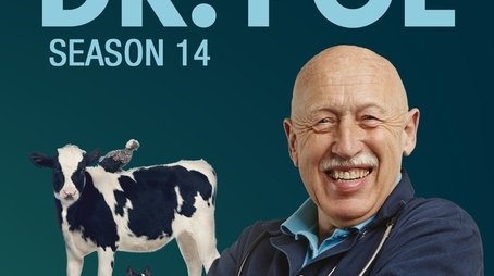 Season 14 (2019) - Season 14 poster and promotional image