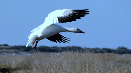 Refuge Évad 1