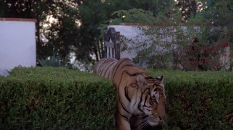 The Purrfect Crime (1983) - Episode 13 poster and promotional image