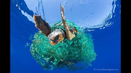 No More Plastic: In Search of a Sustainable Future - Part 1: Clearing Plastic from the Ocean (2019) - Episode 23 poster and promotional image
