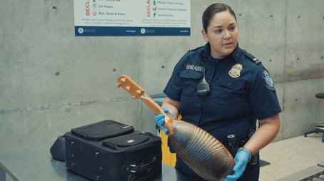 Borderforce USA: The Bridges Сезон 5